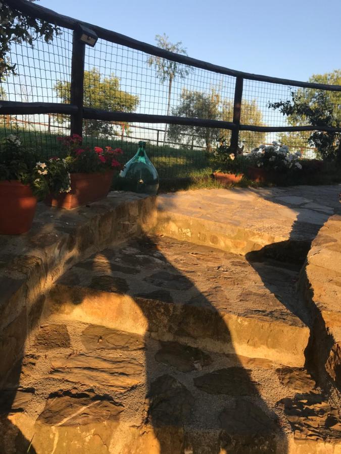 הוילה קסטלינה אין קיאנטי Salto Di Gatto מראה חיצוני תמונה